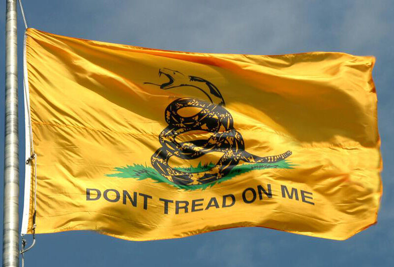 New 3x5 Ft Gadsden Gadsen Flag Made With Premium Outdoor Material Usa Seller