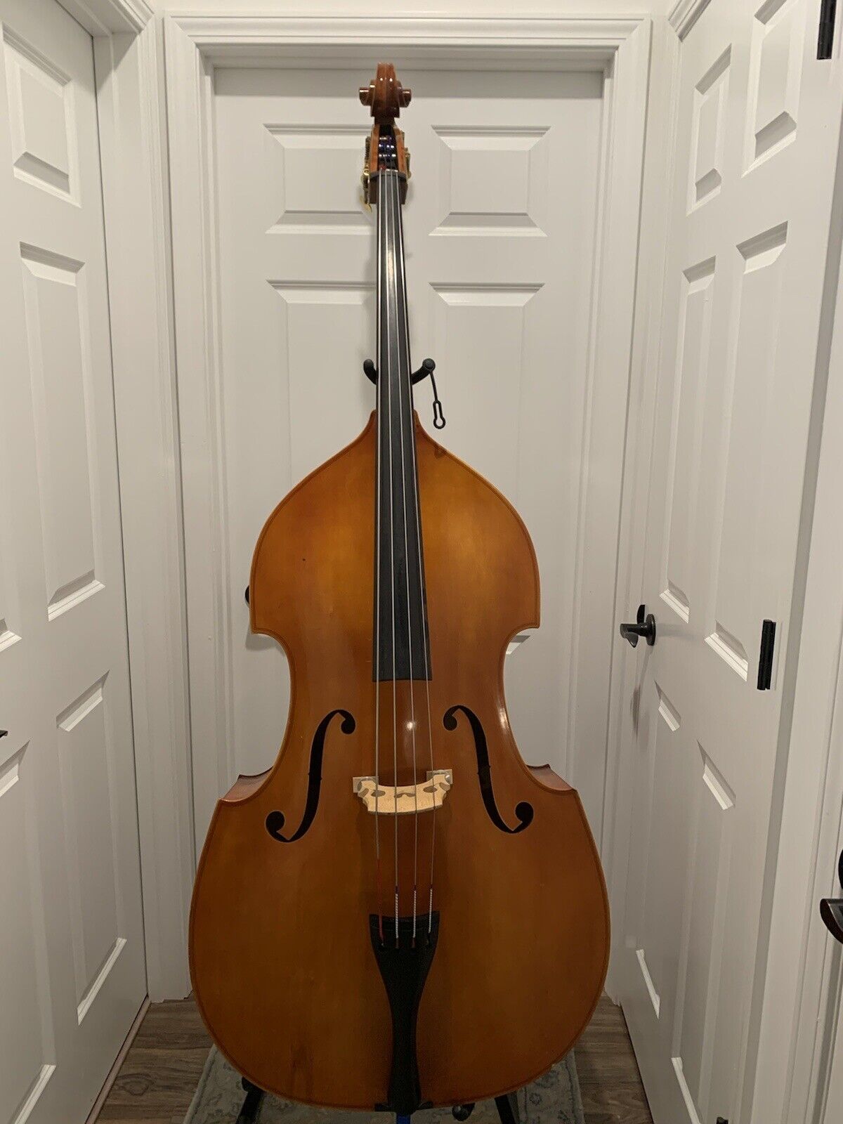 Samuel Eastman Model 80 2011 3/4 Size String Bass, Student Bass, Laminated